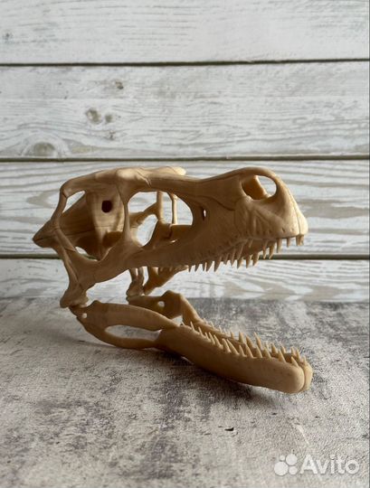 Череп динозавра Велоцираптора