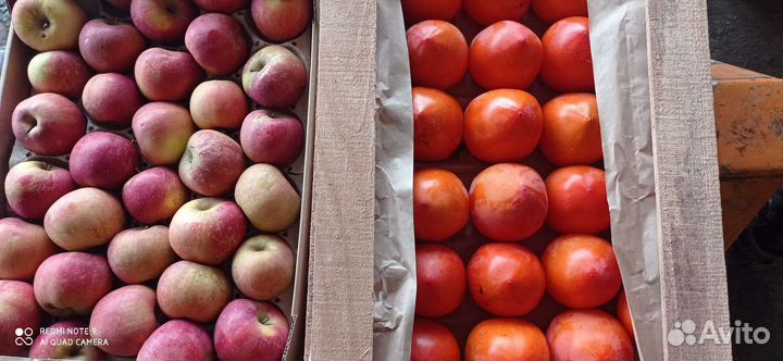 Хурма сладкая