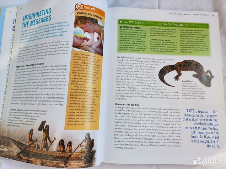 Как максимально использовать свой мозг