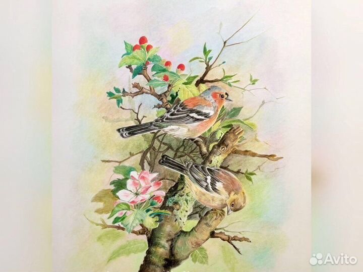 Картины: графика «Птицы в саду» А3