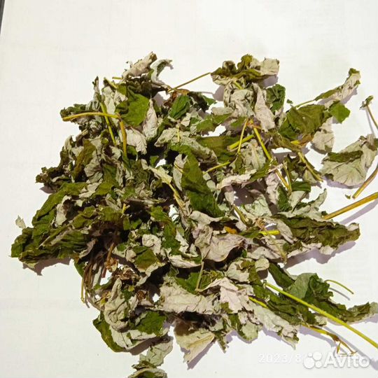 Малина лесная лист Алтай