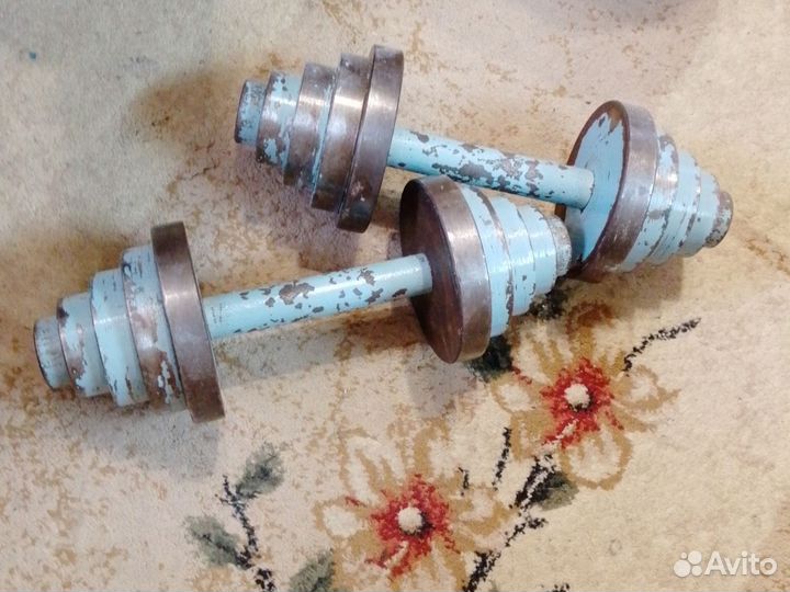 Гантели по 10 кг