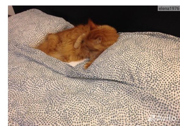 Комплект белья.Трэдкрассула.Икеа.Доставка