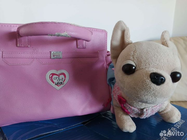 Собачка чичилав chi chi love