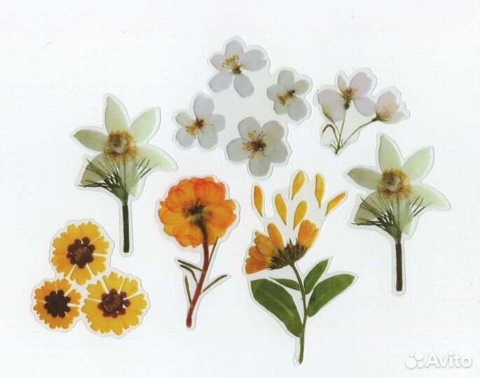 Наклейки Стикеры Цветы Гербарий