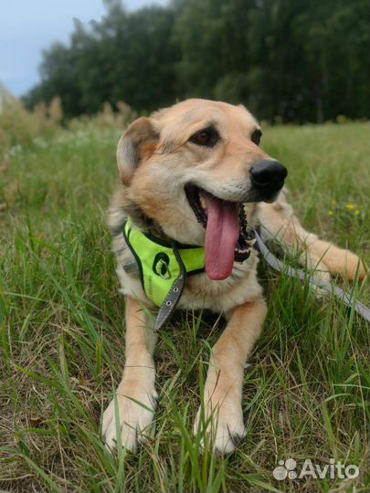 Мартуся ищет дом