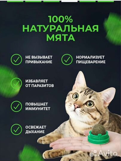 Кошачья мята игрушка