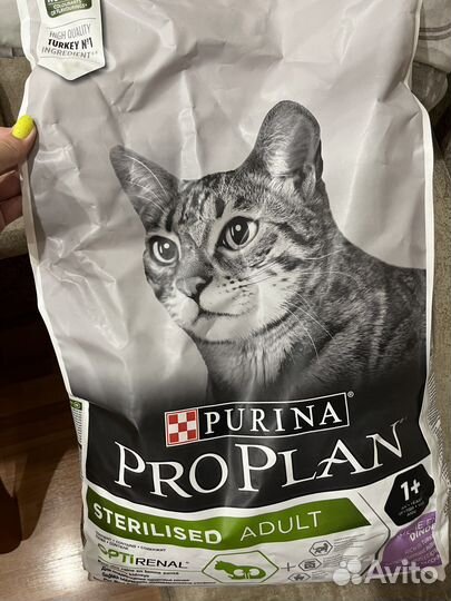 Корм для кошек Пурина проплан