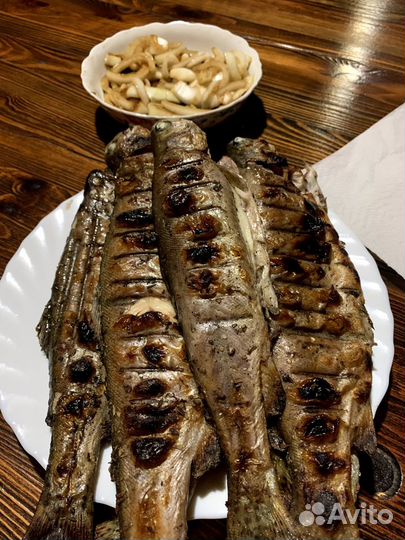 Рыбалка на форель