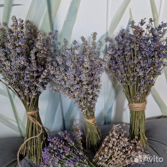 Лаванда в букетах