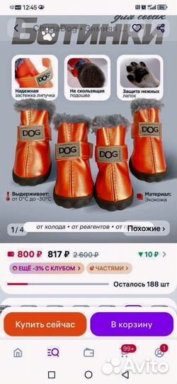 Зимняя обувь для собак