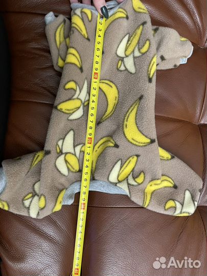 Одежда для маленьких собак