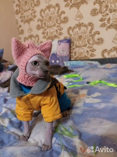 Шапочка для сфинкса