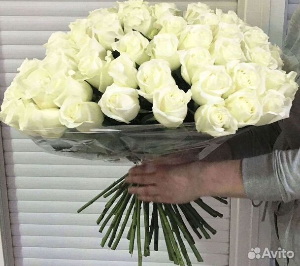 Высокие розы