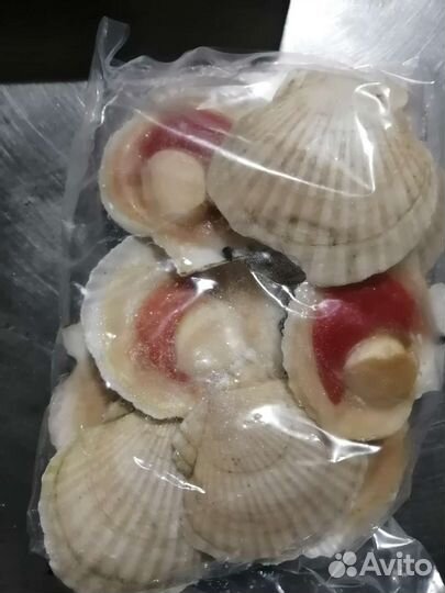 Гребешки, Мидии