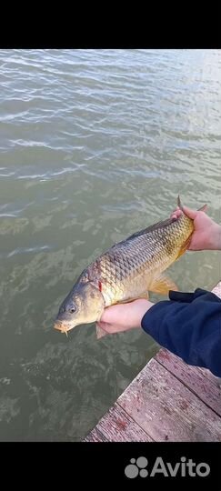 Отдых у воды, рыбалка База отдыха Родничок