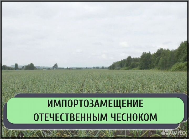 Инвестиции в готовый бизнес / Доход до 50% годовых