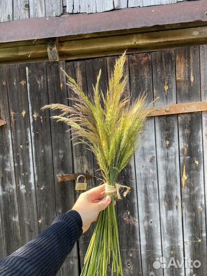Букет Пшеницы