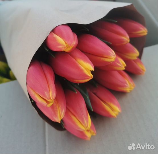Белорусские тюльпаны 15шт. в крафт бумаге
