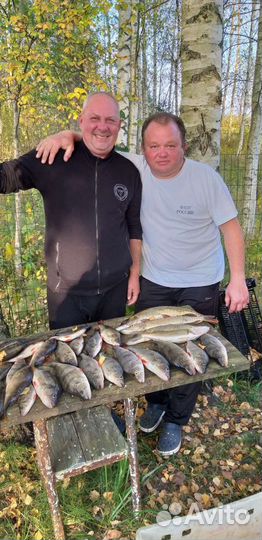 Рыбалка на озере Вселуг