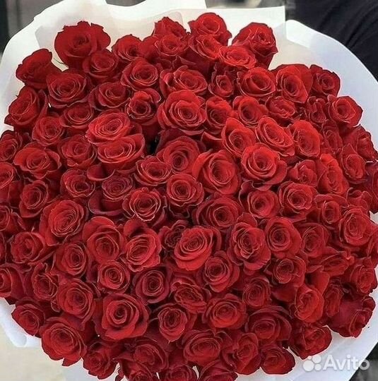 Высокие розы Гигантские розы Доставка цветов