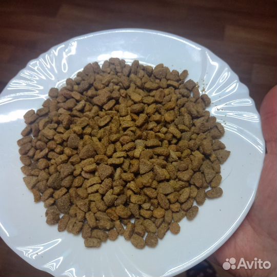 Сухой корм для кошек Pro plan