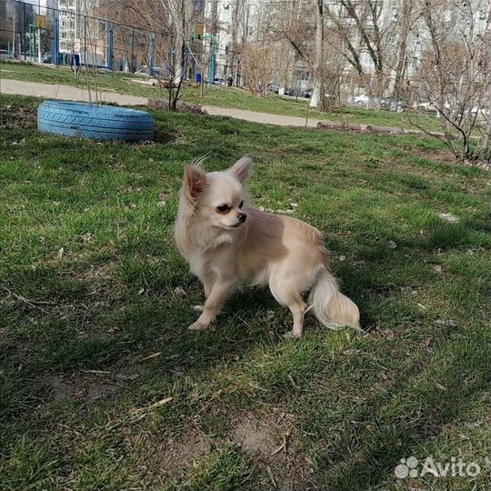 Вязка