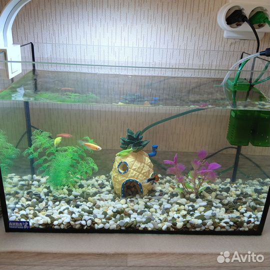 Аквариум с рыбками