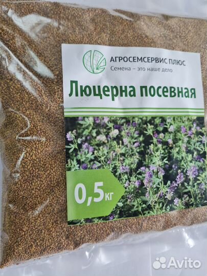 Семена люцерны