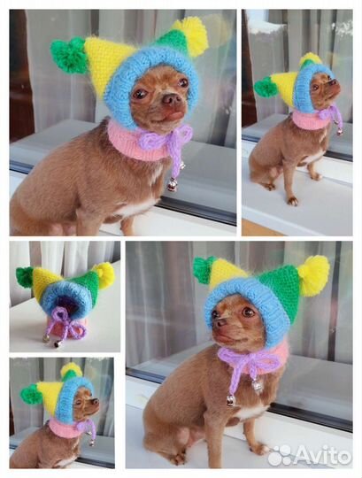 Шапочки для собак