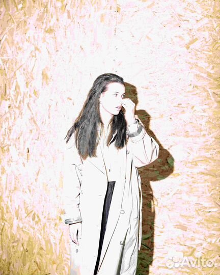 Франшиза фастфуда