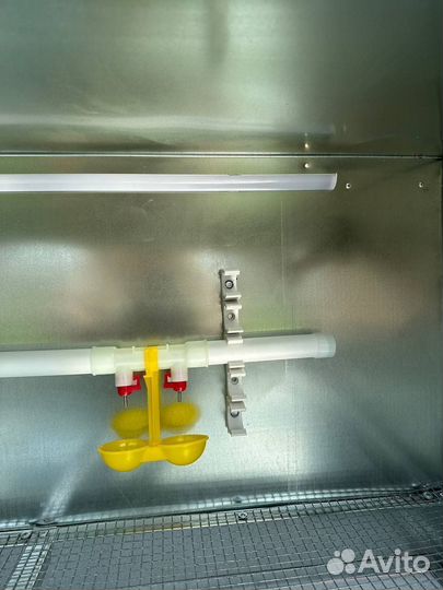 Брудер для цыплят