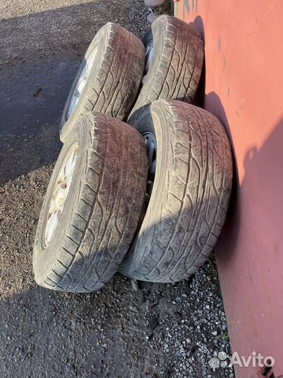 Летние колеса