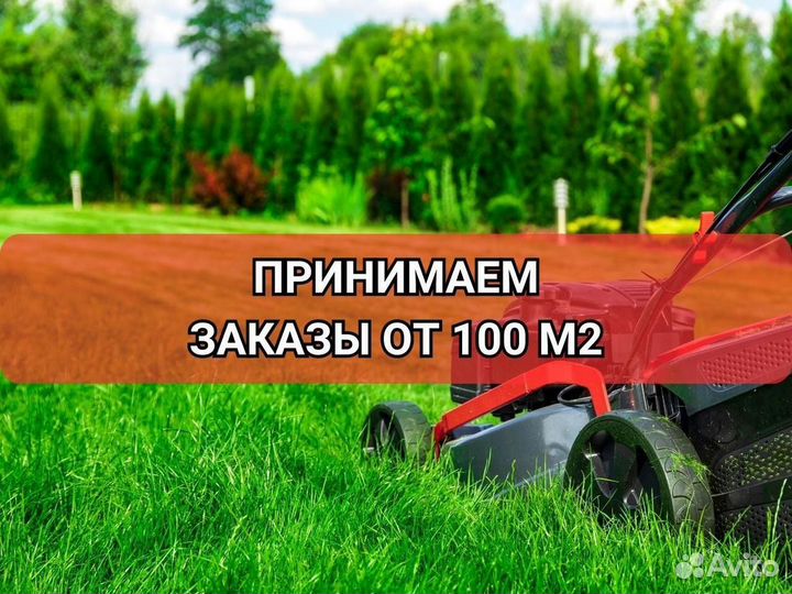 Рулонные газоны