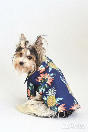 Рубашка для собак