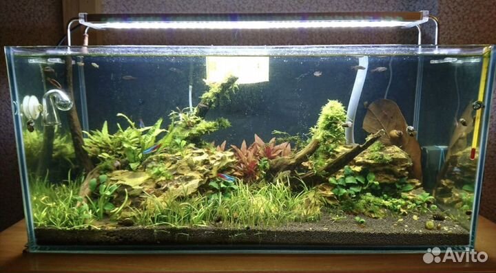 Аквариумы на заказ