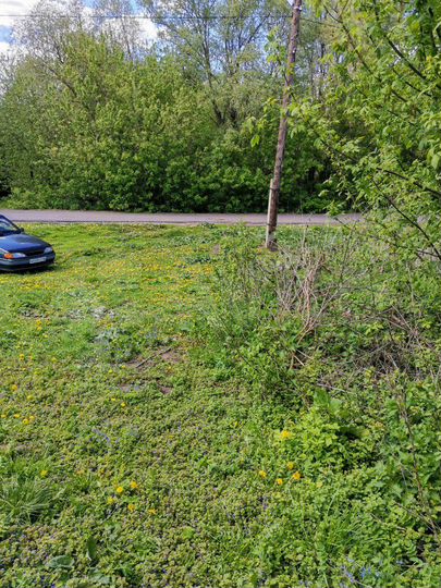 Дом 41 м² на участке 48 сот.