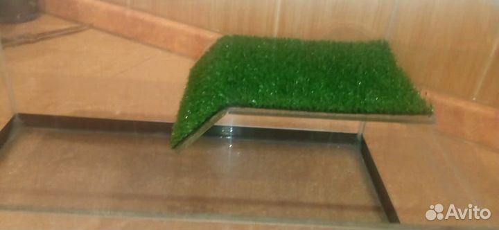 Аквариум для черепах, аквариумы для рыбок