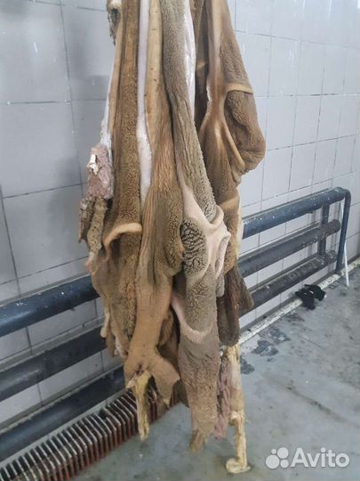 Субпродукты говяжьи