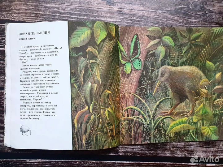 Сахарнов. Заколдованные острова 1975 г