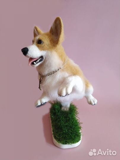 Вельш-корги