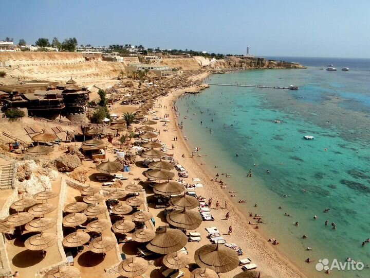 Египет на 9 ночей вылет 24.08