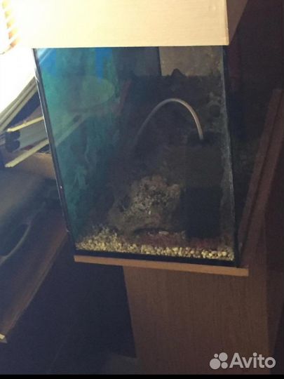 Аквариум с тумбой
