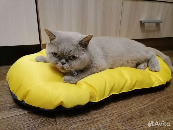 Новые Лежаки для собак/котов 