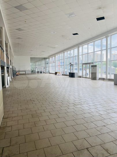 Торговая площадь, 220 м²