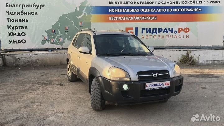 Стекло двери передней правой Hyundai Tucson (JM) 8