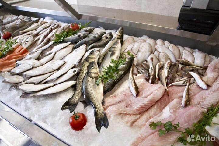 Готовый бизнес: магазин рыбы и морепродуктов