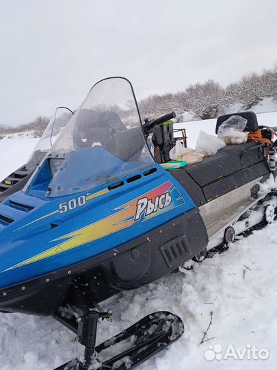 Снегоход рысь 500