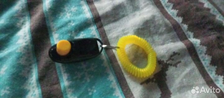 Кнопка для дрессировки