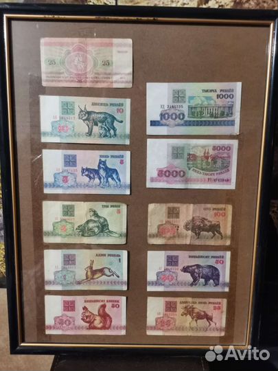 Банкноты СССР и деньги зайчики беларусь